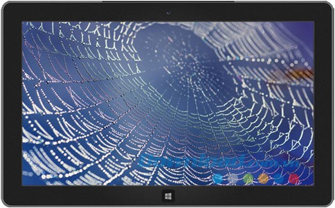 Webs & Waterdrops theme