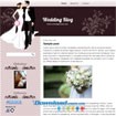 Wedding Blog - Mẫu Blog Thời Trang Áo Cưới