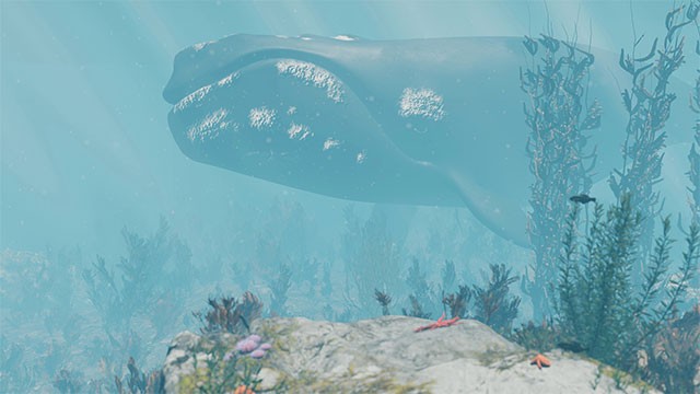 Nhiều hoạt động tương tác để bạn lựa chọn tùy theo sở thích