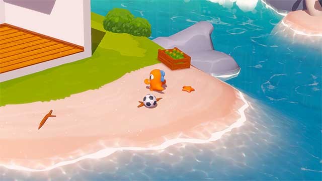 Thu thập đồ nội thất và đồ trang trí để tùy chỉnh không gian nhà của thú cưng