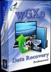 wGXe Data Recovery Professional 1.0 - Công cụ phục hồi dữ liệu