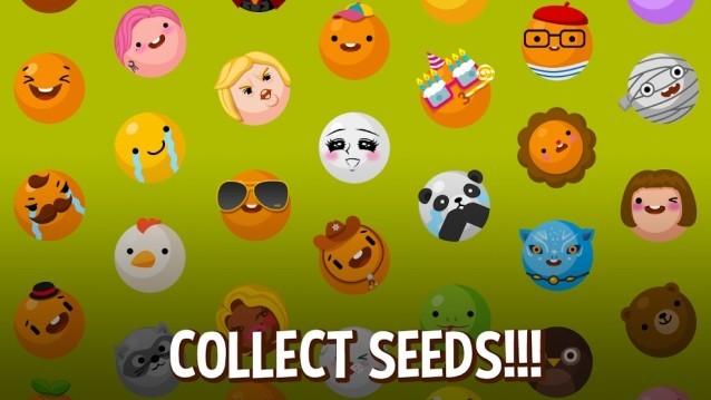 Mỗi hạt bơ có đặc tính khác nhau