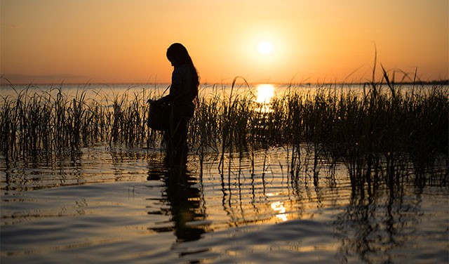 ... với hành trình sinh tồn, sống và yêu