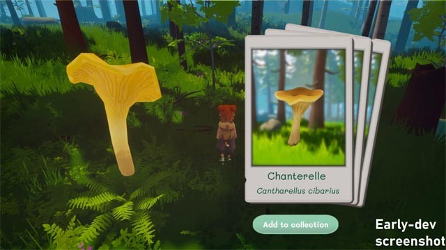 Tìm kiếm thức ăn trong rừng và tìm hiểu về nguồn gốc của chúng