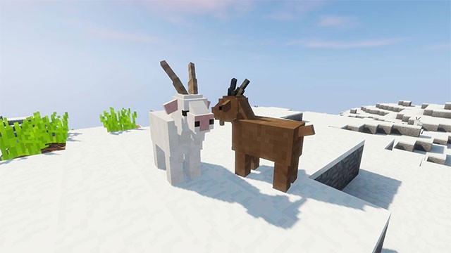 Tương tác với các loài động vật, block, quặng, tài nguyên... trong thế giới mới