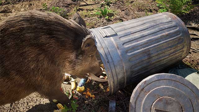 Vào vai một chú lợn rừng muốn sống hòa hợp với các loài động vật khác