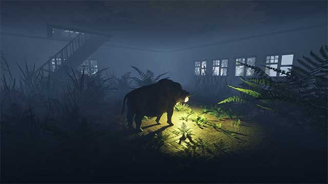 Khám phá các công trình, tòa nhà hậu tận thế để tìm kiếm vật phẩm hữu ích