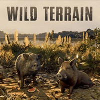 Wild Terrain: Game Lợn Rừng Sinh Tồn Hậu Tận Thế