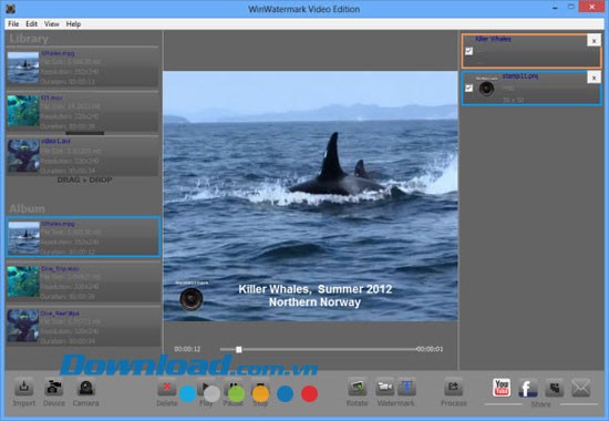 WinWatermark Video Edition