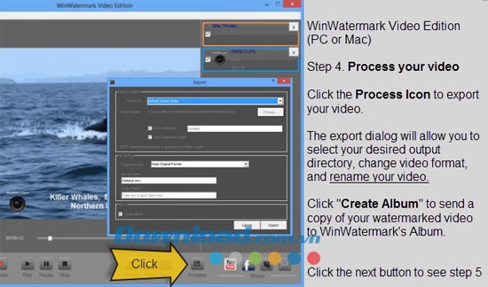WinWatermark Video Edition