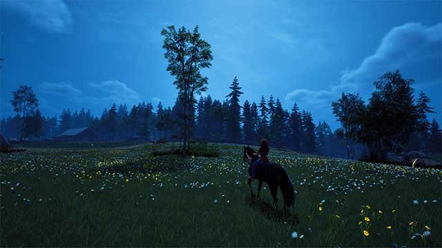 Cưỡi ngựa và khám phá khung cảnh ngoạn mục xung quanh khu đất Kaltenbach