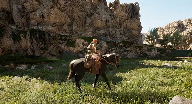 Thuần hóa và huấn luyện những chú ngựa có khả năng chuyên biệt