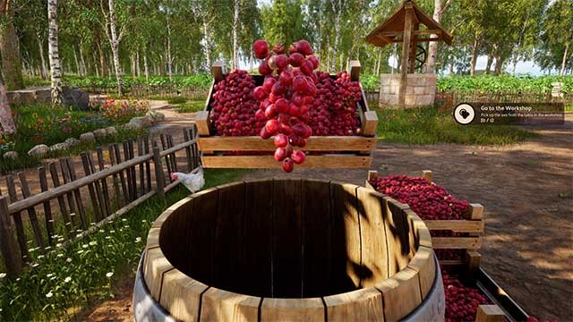 Tự tay tuyển chọn những quả nho căng mọng, tươi ngon