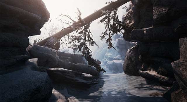 Khám phá môi trường hoang dã được thiết kế chân thực