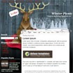 WinterPicnic Template: Thiết kế blog đẹp mắt