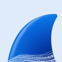 Wireshark Portable 4.6.2 - Phân tích giao thức mạng