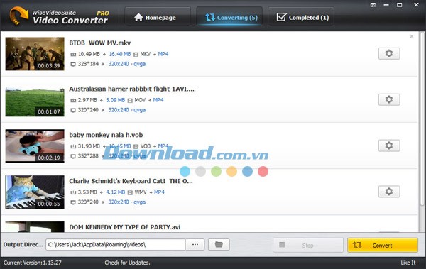 Wise Video Converter