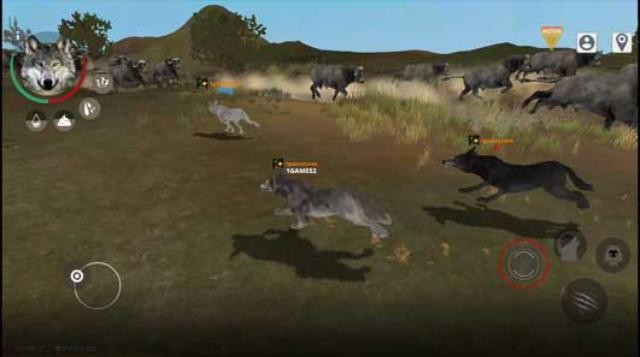 Sống như một con sói hoang dã trong game Wolf Online 2 cho iOS