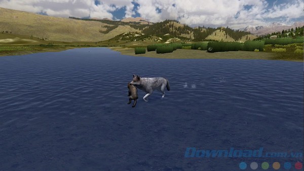 Di cư đến vùng đất mùa hè