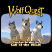 WolfQuest 2.7.2: Game Mô Phỏng Cuộc Sống Sói Hoang Dã