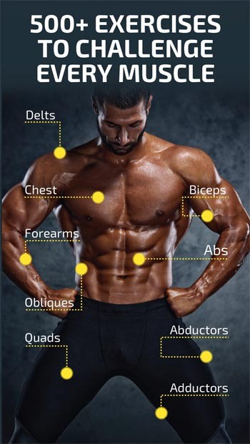 Hơn 300 bài tập phát triển cơ