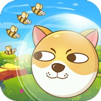 X-hero: Game Vui Bảo Vệ Chú Chó Trên PC