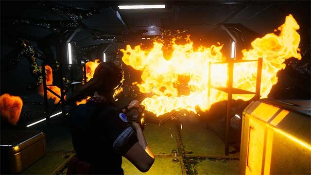 Bạn phải tìm cách tiêu diệt một sinh vật kỳ dị trong các không gian chật hẹp