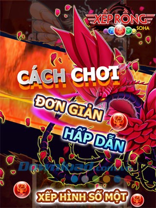 Xếp Rồng for Android