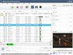 Xilisoft DVD to WMV Converter - Convert DVD to WMV Easily