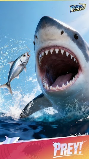 Tham gia các giải đấu, khám phá nhiều vùng nước và trở thành huyền thoại câu cá