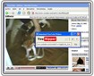 YouRipper 2.40 - Download Video Online