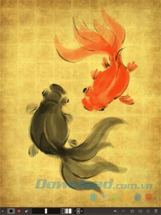 Chọn loại mực tùy ý