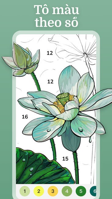 Game tô màu theo số