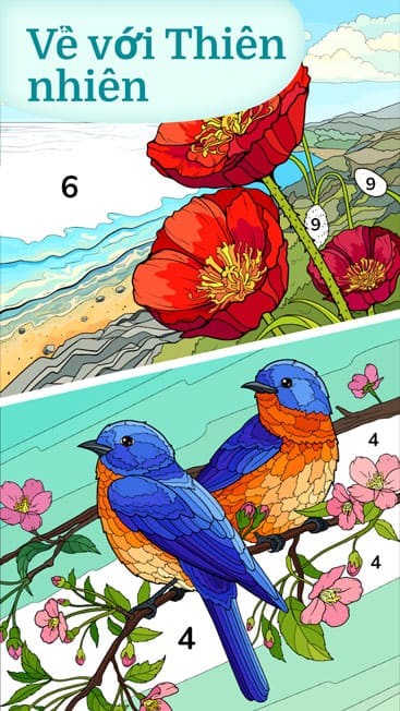 Chủ đề thiên nhiên đặc sắc