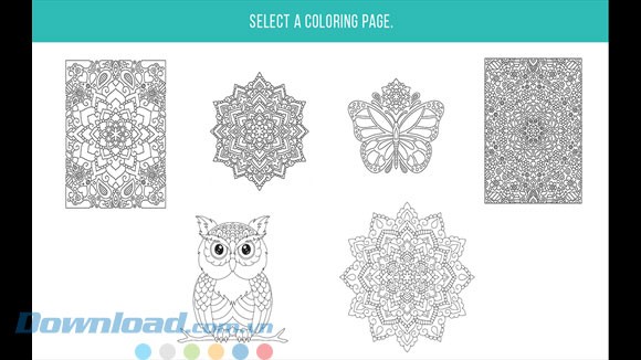 Nhiều hình ảnh đẹp