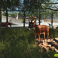 Zoo Simulator - Game Quản Lý Sở Thú Hấp Dẫn