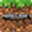Mod Minecraft