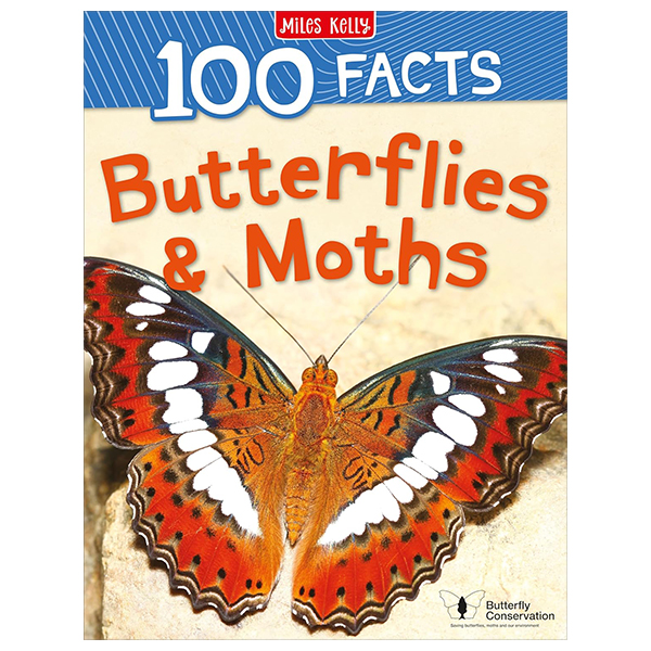 100 facts butterflies and moths