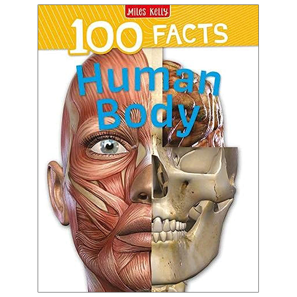 100 facts: human body