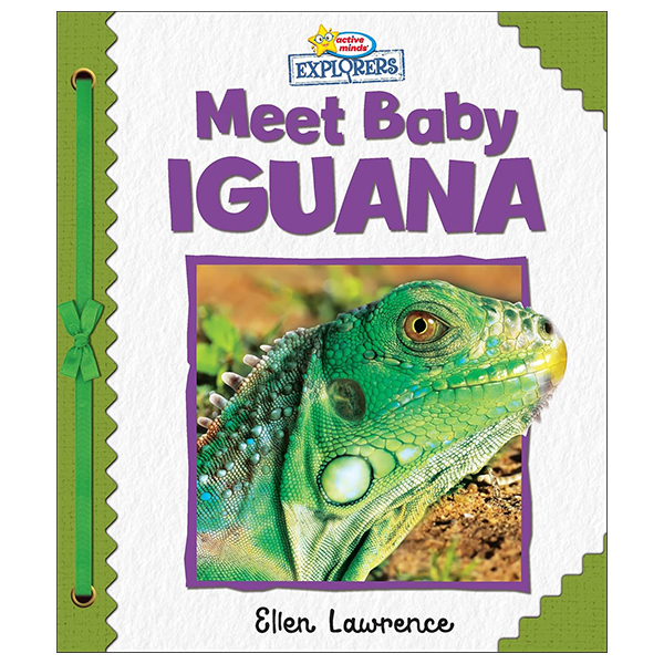 Active Minds Explorers - Meet Baby Iguana