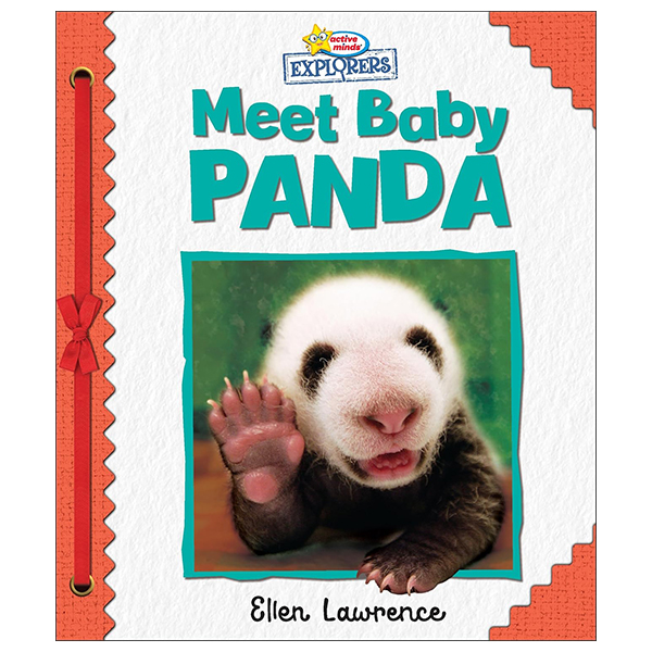 Active Minds Explorers - Meet Baby Panda