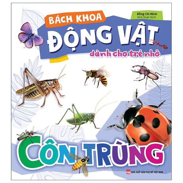 Bach Khoa Dong Vat Danh Cho Tre Nho - Con Trung (Tai Ban 2025)
