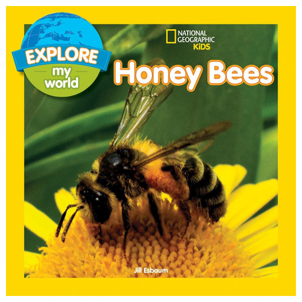 explore my world: honey bees