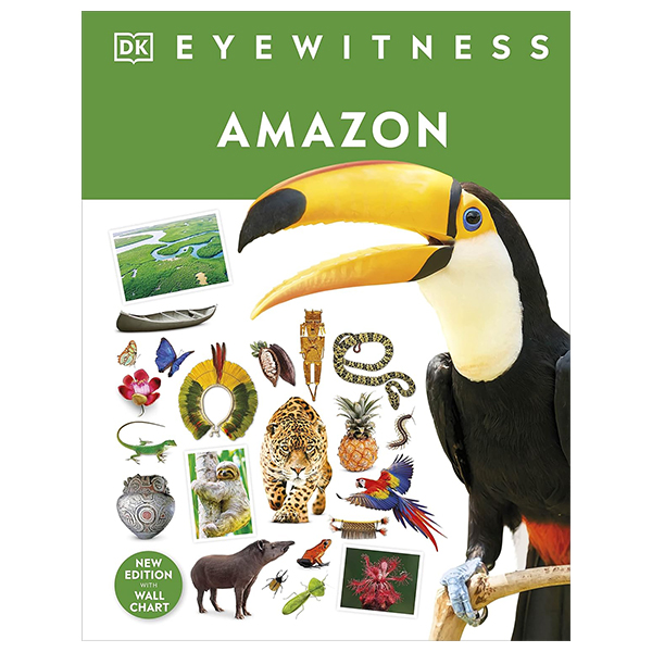 Eyewitness - Amazon