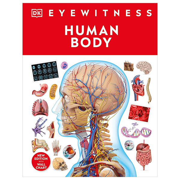 Eyewitness - Human Body