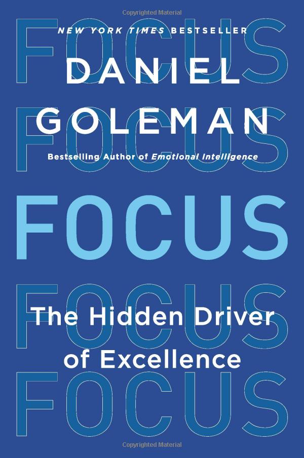 focus: the hidden driver of excellence