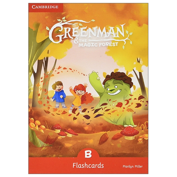 greenman and the magic forest b flashcards (pack of 48)