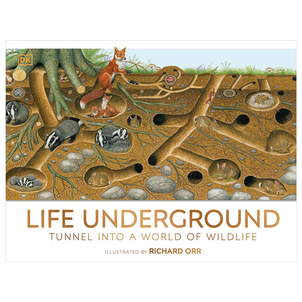 life underground - tunnel into a world of wildlife