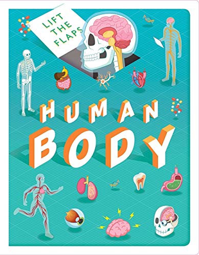 lift the flaps: human body (discovery lift the flaps)