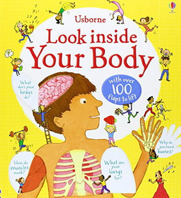 look inside: your body